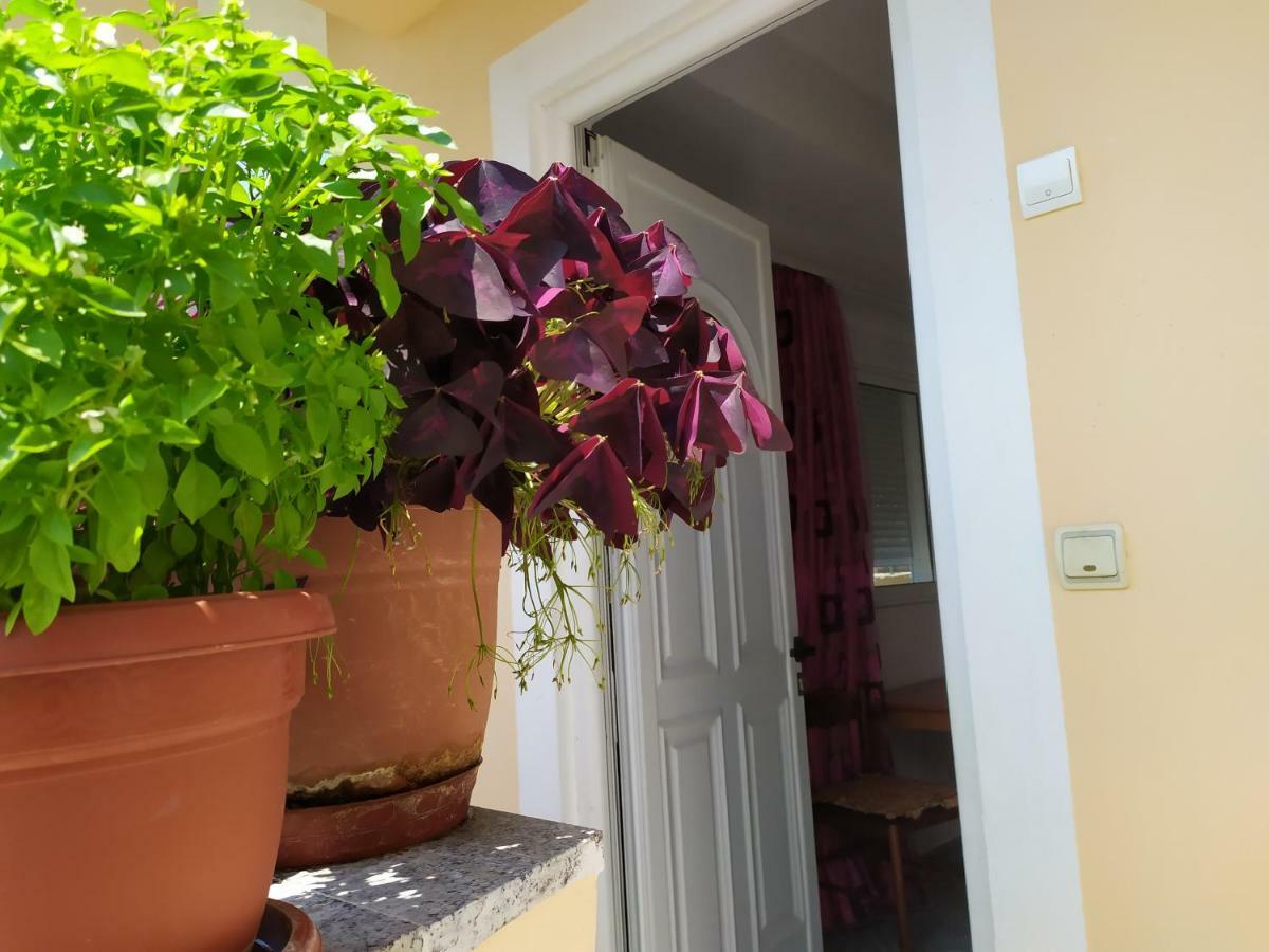 Joen Guesthouse Sarandë Eksteriør billede